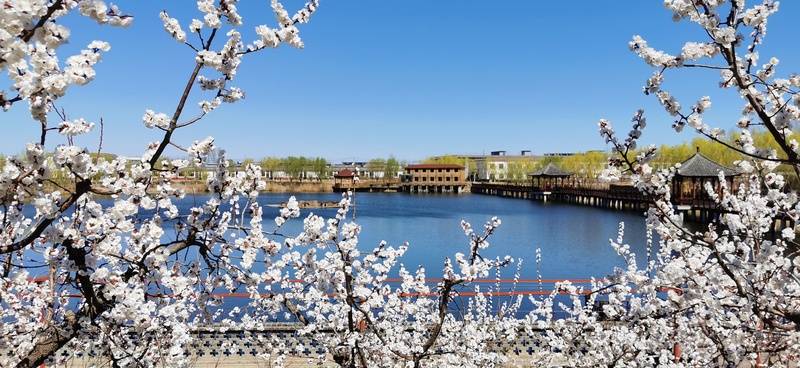 pg麻将胡了爆分技巧2025北京医养结合